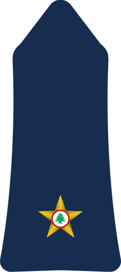 File:13.LAF-2LT.svg