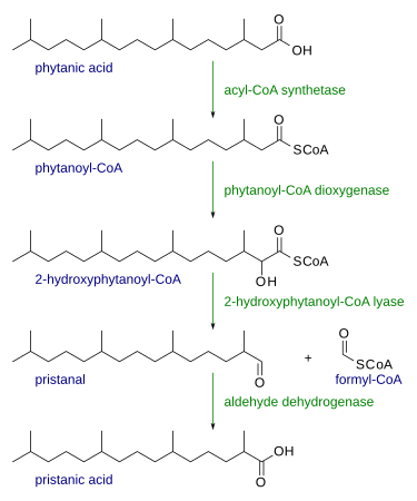 File:Alpha oxidation.svg