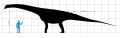 Another GA that was missing a size comparison. Ampelosaurus was another titanosaur.