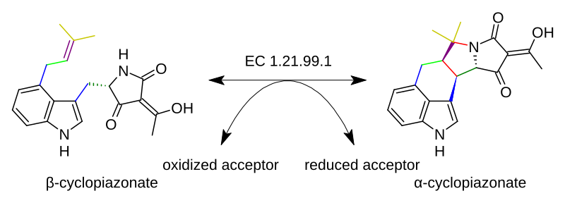 File:B-cyclopiazonate dehydrogenase.svg