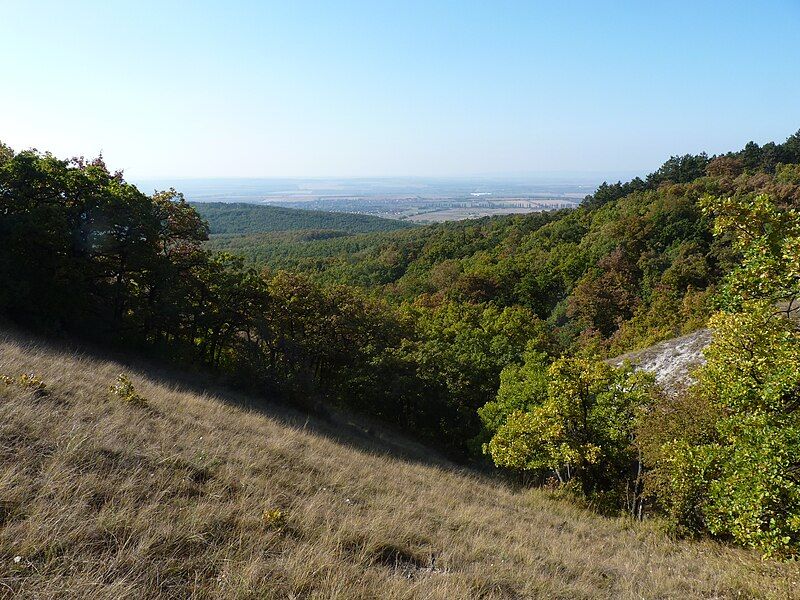 File:Buda Hills 03.jpg