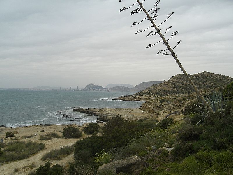 File:Cala Palmera Alicante.JPG