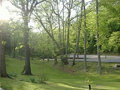 Roadway topography typical of the park