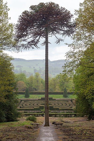 File:Chatsworth (48521657511).jpg