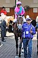 City of Light - Dirt Mile