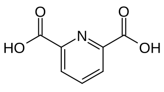 File:Dipicolinic acid.svg