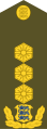 Kindralleitnant[19] (Estonian Land Forces)