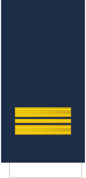 File:Finland-AirForce-OF-2-sleeve.svg