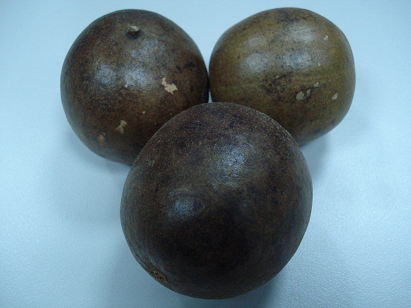 File:Fructus Momordicae.jpg