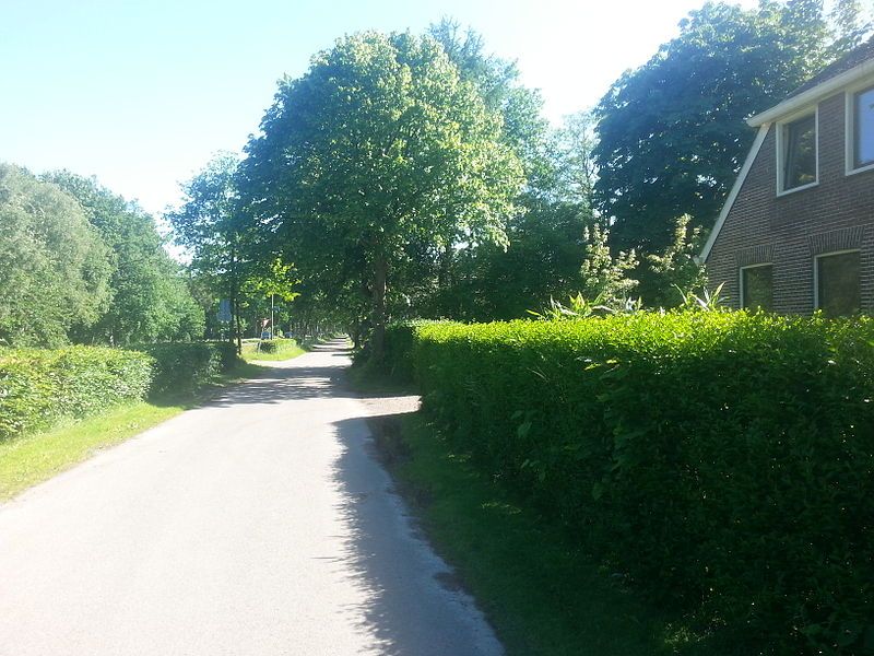 File:Graswijk.jpg