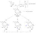 Lorlatinib metabolism