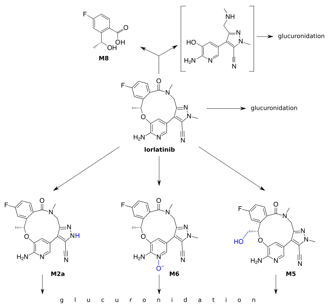 File:Lorlatinib metabolism.svg