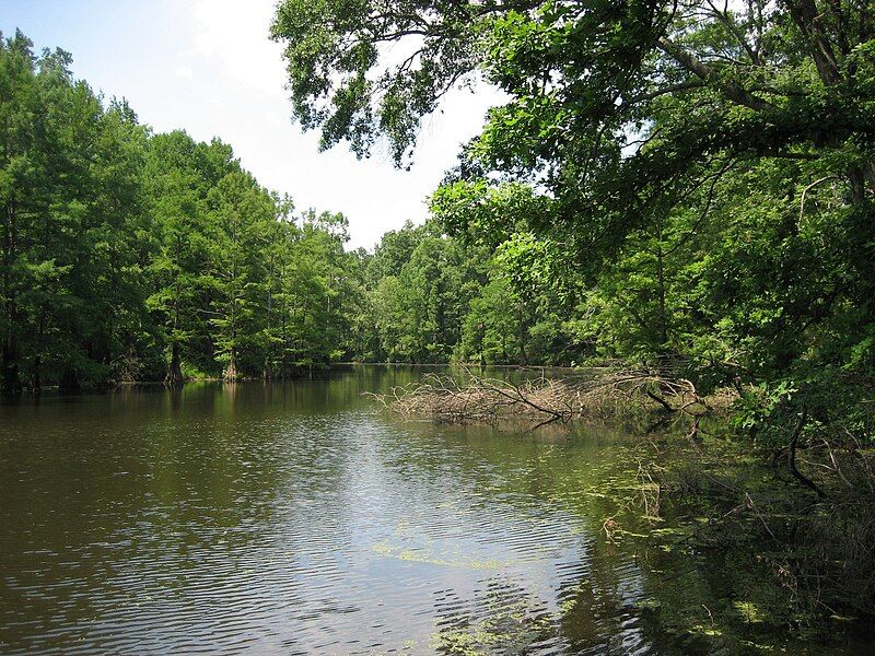 File:Mule jail lake.jpg