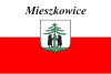 Flag of Mieszkowice