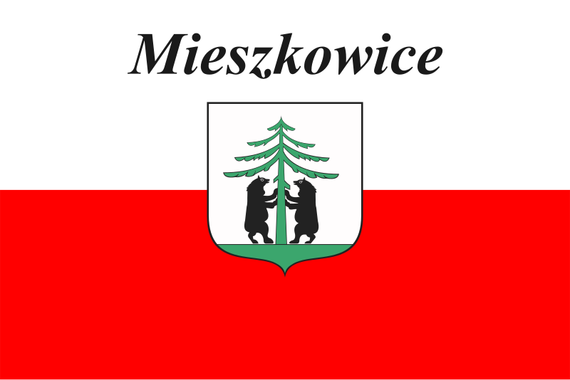 File:POL Mieszkowice flag.svg