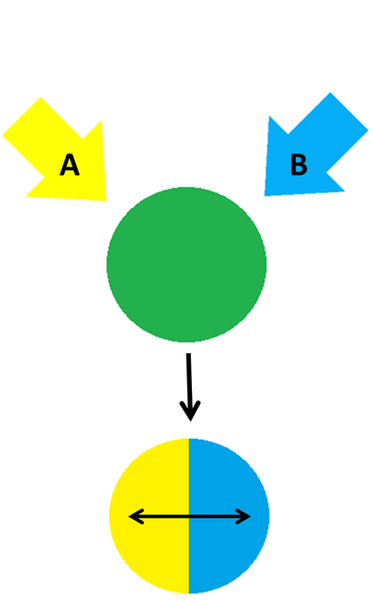 File:Phase separation.png