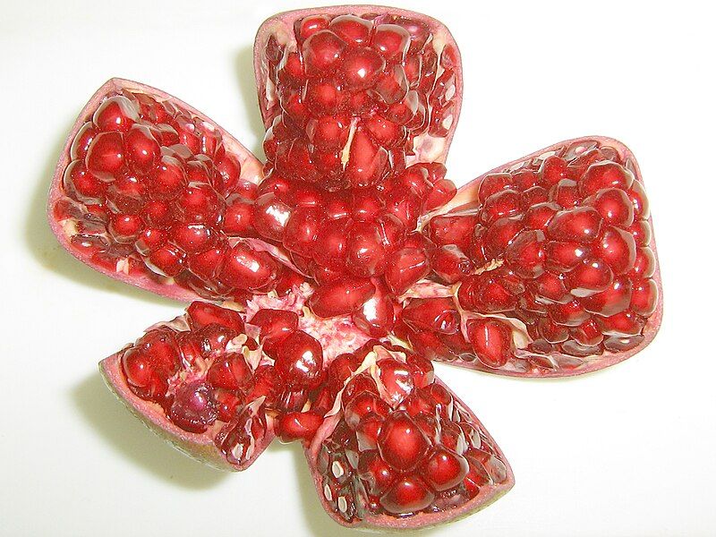 File:Pomegranate opened.jpg