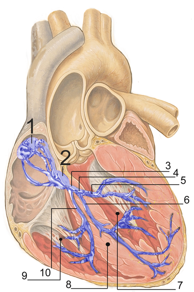 File:RLS 12blauLeg.png