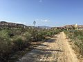 San Francisquito Canyon