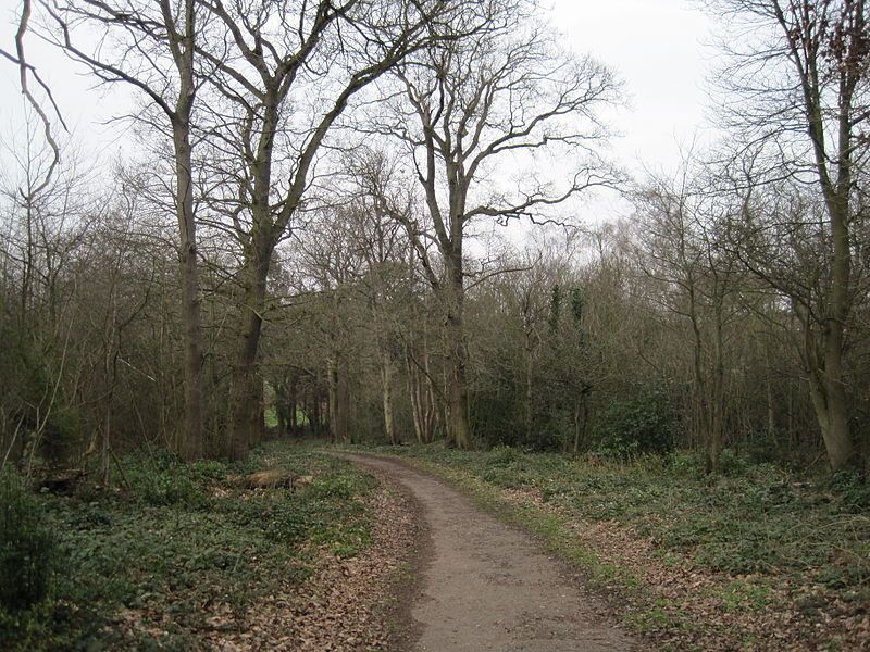 File:Scadbury Park path.JPG