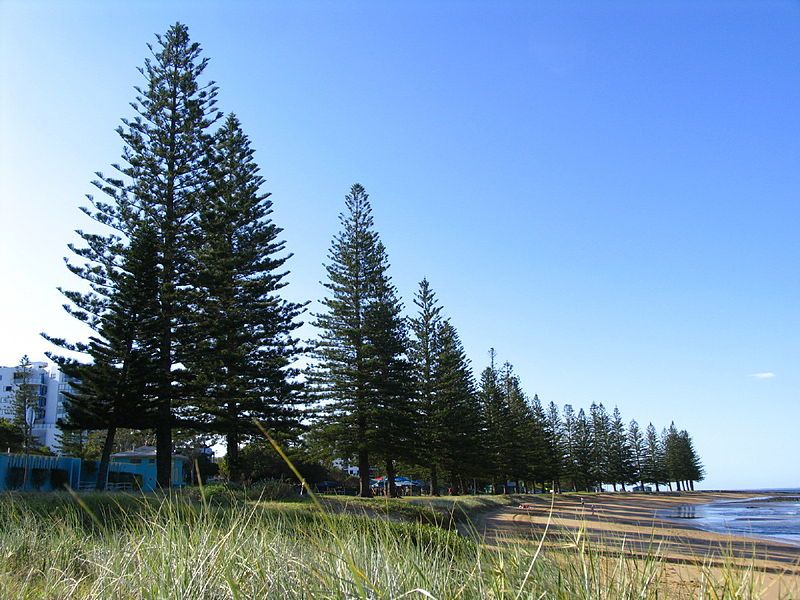 File:Scarborough-Beach-Queensland.JPG