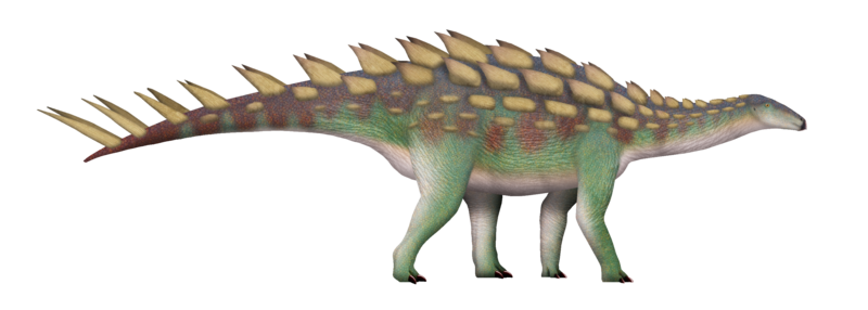 File:Thyreosaurus UDL.png