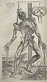 Image 44Vesalius's intricately detailed drawings of human dissections in Fabrica helped to overturn the medical theories of Galen. (from Scientific Revolution)