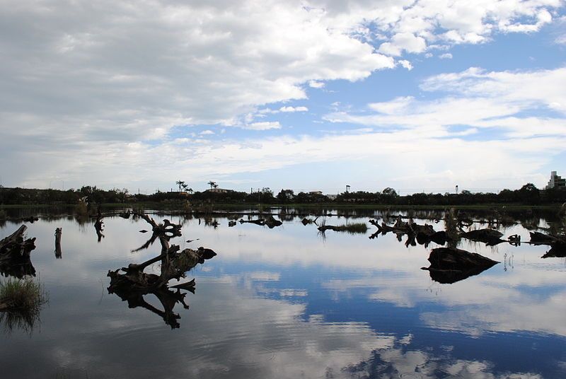 File:羅東林區管理處貯木池區.JPG