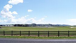 View of Ardmore Airport and surrounding farmland, backed by the Hunua Ranges.