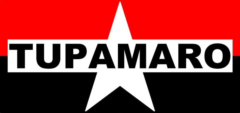 File:Bandera Tupamaro.png