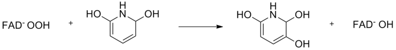 File:Enzymology2,6dihydroxy.png