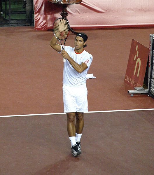 File:Fernando Verdasco.JPG