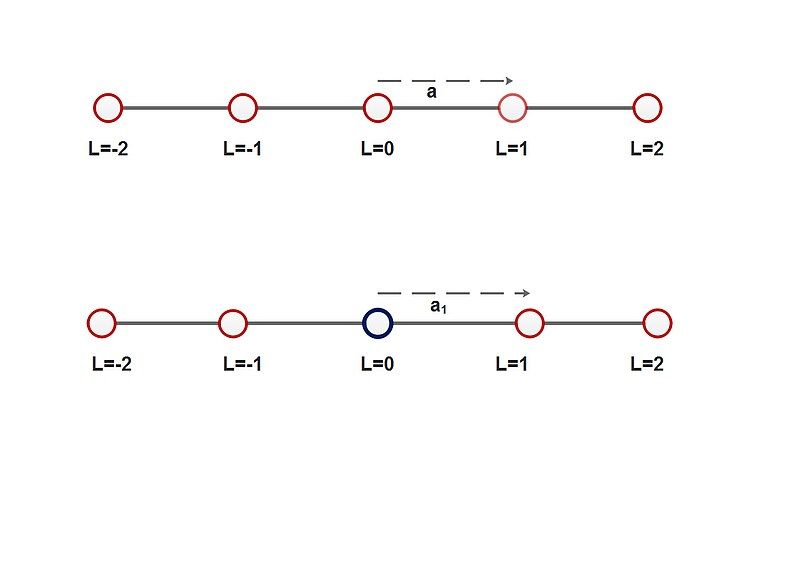 File:Fig1 linear lattice.jpg