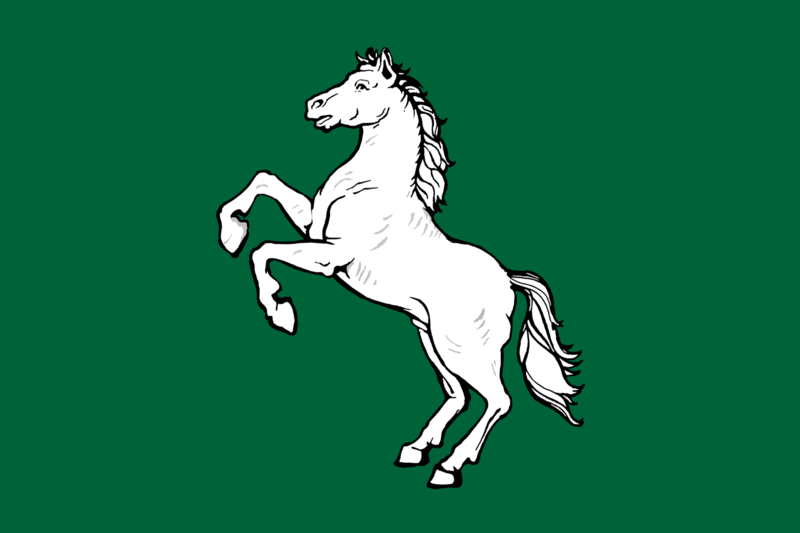 File:Flag of Tomsk.png