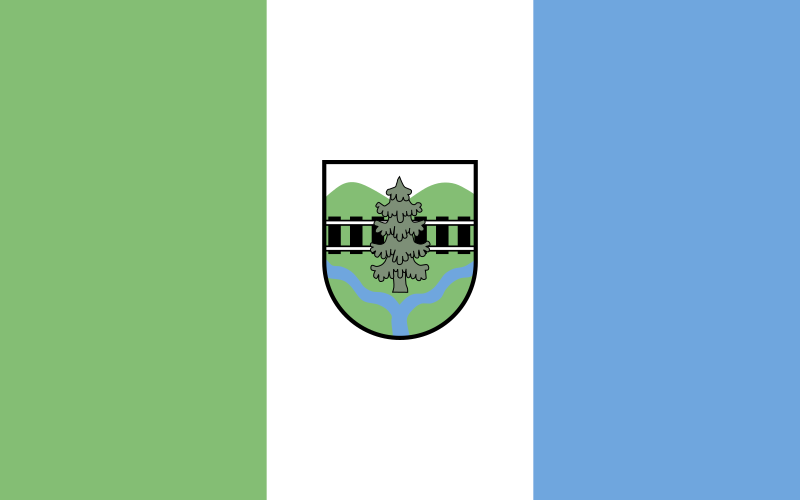 File:Flag of Vygoda.svg