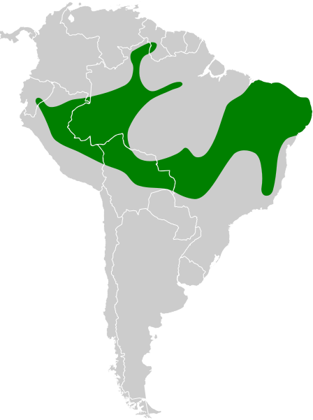 File:Furnarius leucopus map.svg