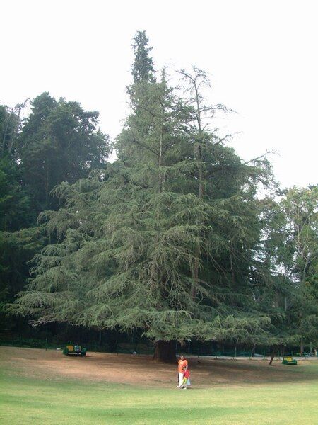 File:Garden ooty.jpg