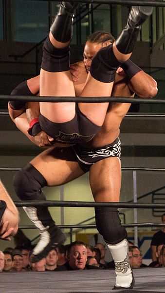 File:Lethal backbreaker.jpg