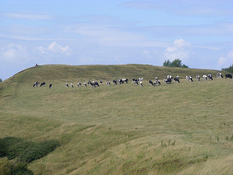 File:Maes Knoll Tump.jpg