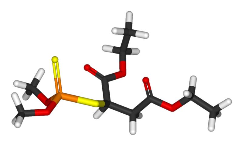 File:Malathion-3D-sticks.png