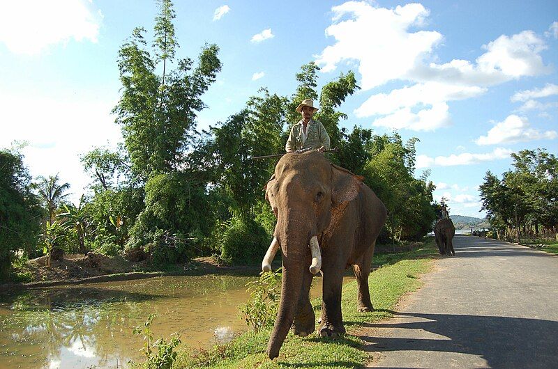 File:Mnong mahout.jpg