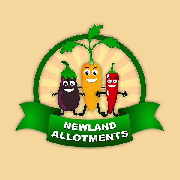 File:Newland Allotments.jpg