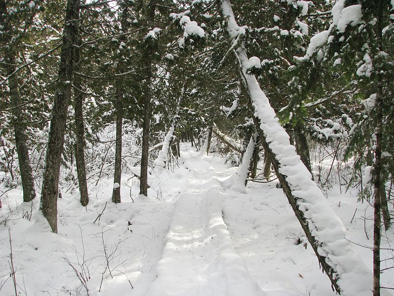 File:NorthCountryTrailWI.JPG