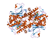 2h3d: Crystal Structure of Mouse Nicotinamide Phosphoribosyltransferase/Visfatin/Pre-B Cell Colony Enhancing Factor in Complex with Nicotinamide Mononucleotide