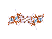 2pjx: Crystal structure of the Munc18c/Syntaxin4 N-peptide complex