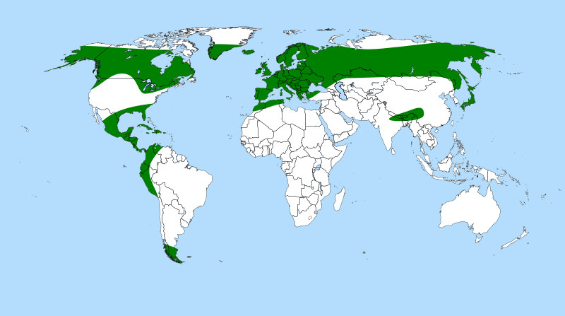 File:Pinguicula distribution.svg