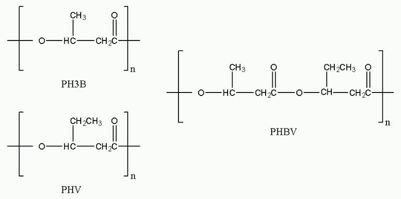 File:Polyhydroxyalkanoates.png