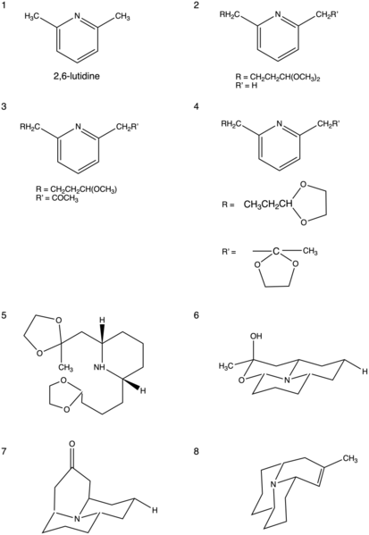 File:Precoccinelline Chemical Synthesis.png