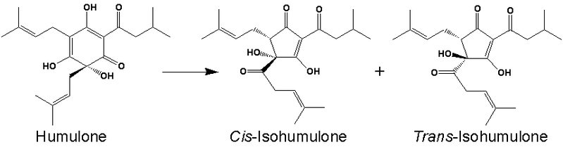 File:Reaction-degradation-humulone.png