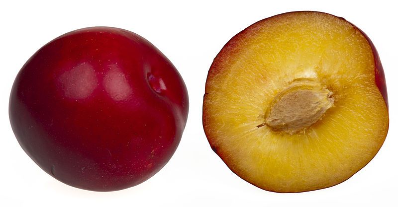 File:Red-Plums.jpg